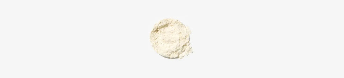 Het verschil tussen whey isolaat en whey protein – wetenschappelijke uitleg - Elmerink Nutrition