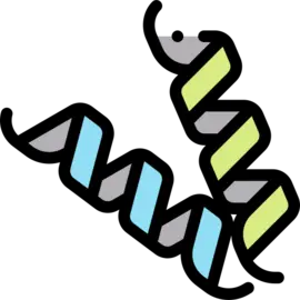 Aminozuren leucine Elmerink Nutrition