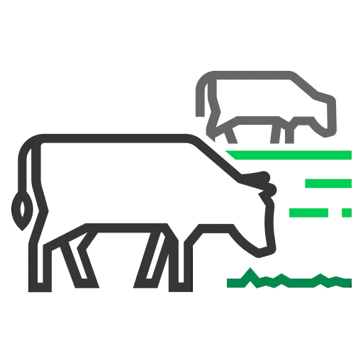 Grass-Fed-Koeien