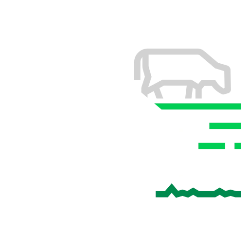 Grass-fed-cows-2