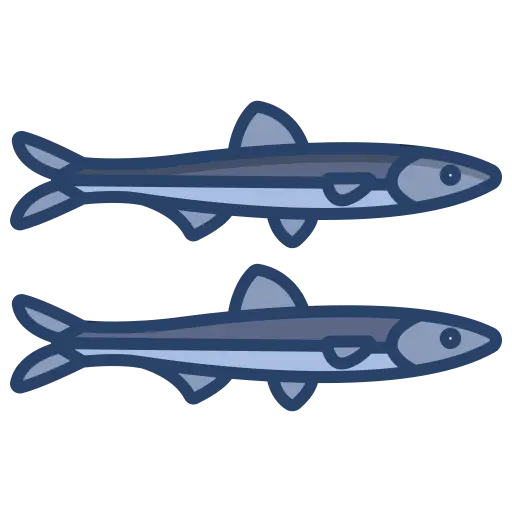 Omega-3-gefilterd-ansjovis